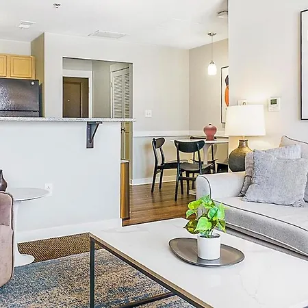 Landing Modern Apartment With Amazing Amenities